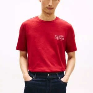 Polo Tommy Hilfiger mw42374 600